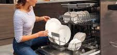 Mẹo hay ngăn côn trùng chui vào máy rửa bát Bosch